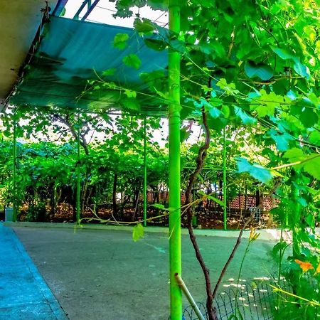 Apartment Gea Ičići Dış mekan fotoğraf